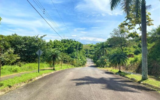 Lot in Guacima