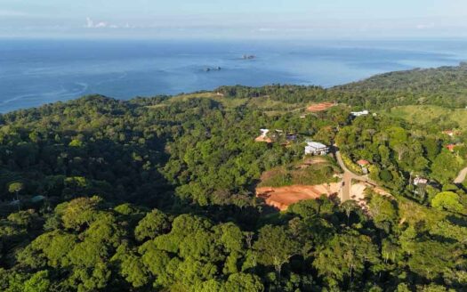 A GIANT ocean-view, immaculately prepared, jungle and river-frontage plantel in the foothills above the cosmopolitan town of Ojochal