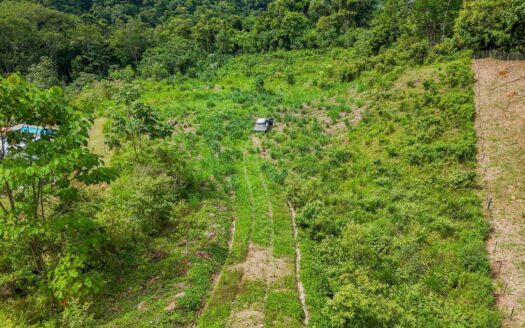 An impressive, elevated 4.1-acre ocean, sunset and mountain view lot in the jungle-clad, sough-after hilly neighborhood