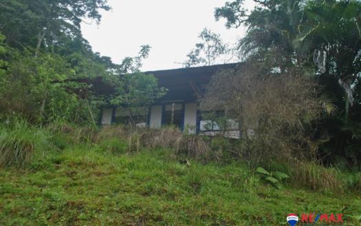 Off-Grid Finca with Natural Spring, Forest and River – Rare Opportunity near Turrialba