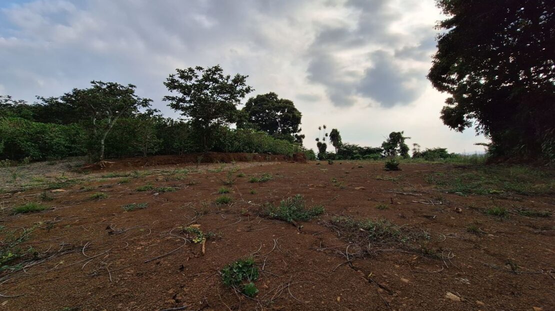 Beatiful land for sale Calle Rodriguez