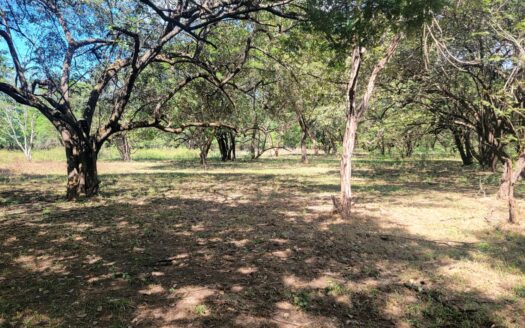 Building your home 10 min from the beach!