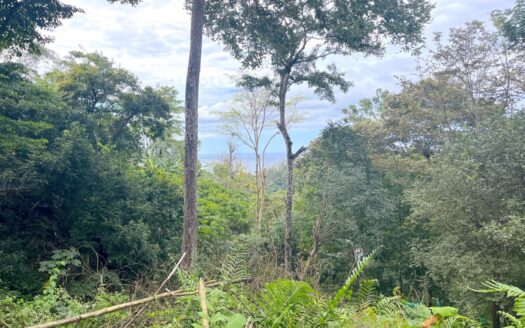 Build Your Dream Home: Prime Partial Ocean View Lot in Santa Teresa, Minutes from Beaches!