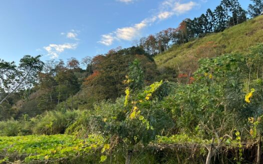 Large lot with a view of the lake. in terraces, bordered street. Paradise of Cartago, CR.