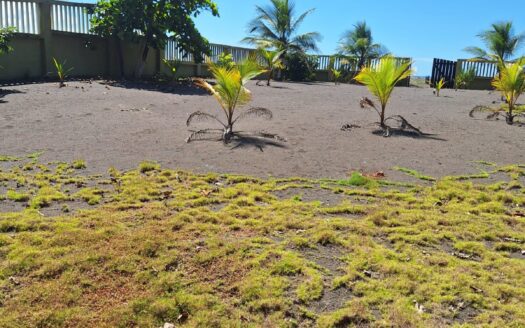 🌴 Titled Oceanfront Gem in Playa Bajamar – An Unbeatable Opportunity! 🌊💎