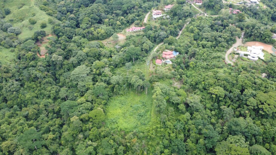 Ojochal