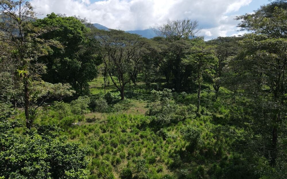 Costa Rica Real Estate