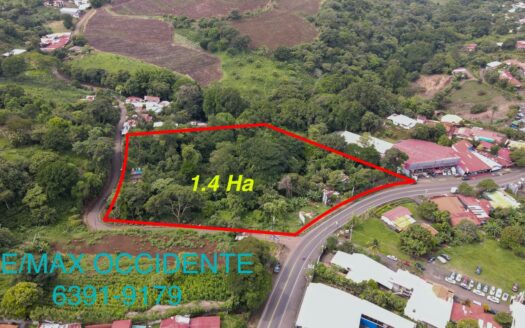 Commercial Farm For Sale , Grecia Costa Rica