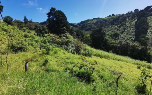 Land for Sale in Zarcero