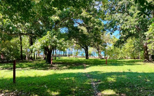 Impressive Residential Beachfront Lot – Mal Pais