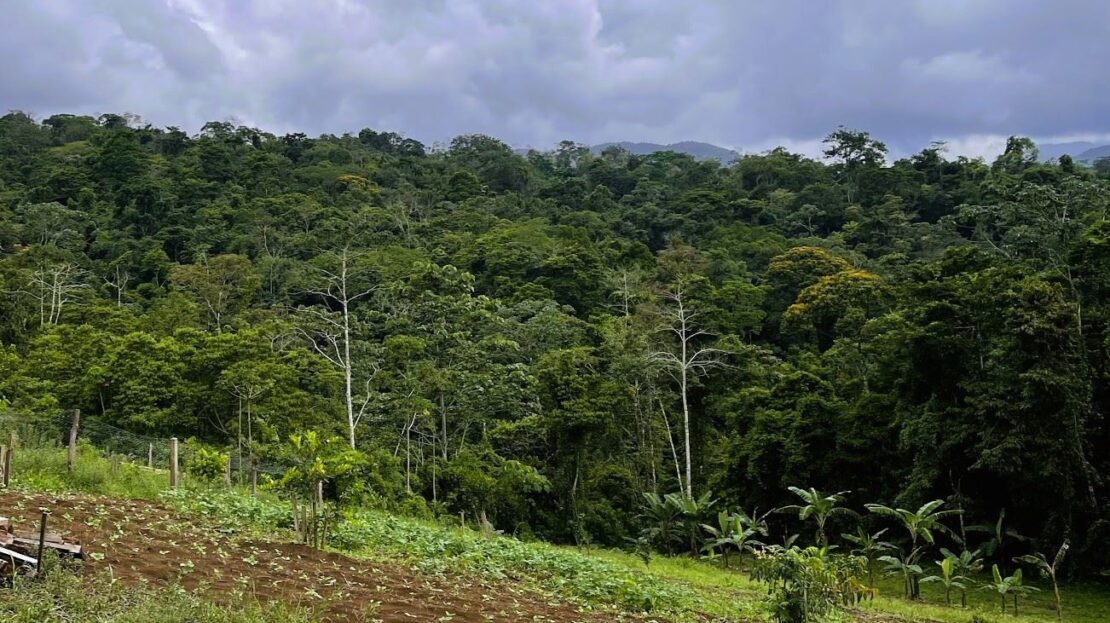 Costa Rica Real Estate