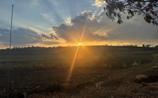 Farm For Sale Grecia Alajuela Costa Rica