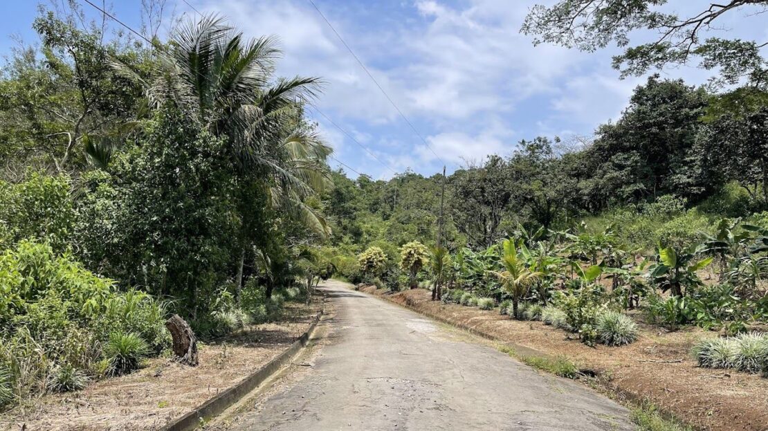 LOT FOR SALE IN SAN PEDRO