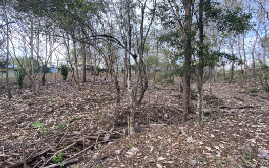 Santiago Gorgeous Flat Lot, just minutes to Hermosa and Manzanillo beach!