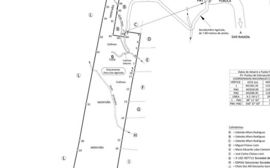 FARM FOR SALE IN BAJO RODRIGUEZ, SAN RAMON.