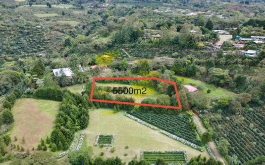 Lot For Sale Located in Grecia Costa Rica