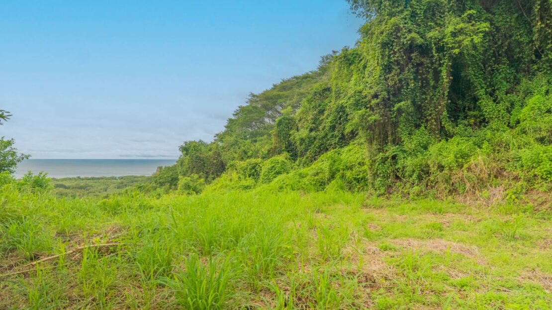 Spectacular Oceanview Lot in El Jobo – Exclusive Gated Community