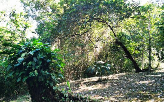 Eco-Friendly Residential Development Lot Opportunity in Mal Pais – Steps to the Beach!