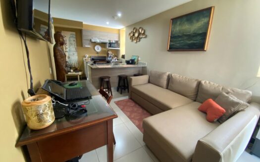 Exquisite Urban Retreat: Luxury Living in the Heart of the City