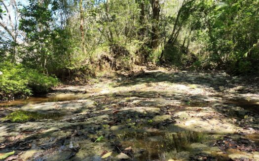 Expansive 41-Hectare Mountain Finca Near Hojancha