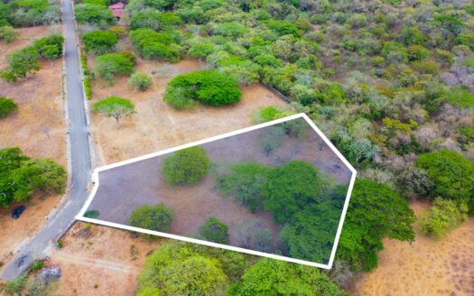 Santa Luisa Lot: A Natural Haven in Barrio La Cruz, Liberia, Costa Rica