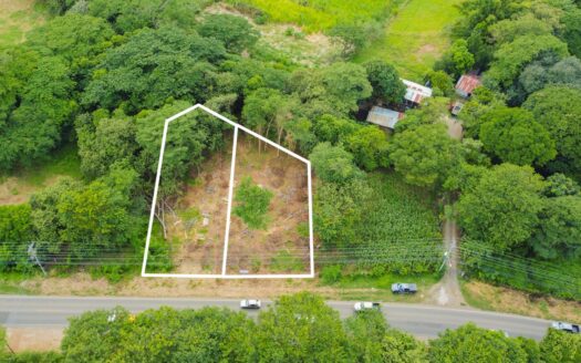 Perfect Lots on the Main Street to Coco