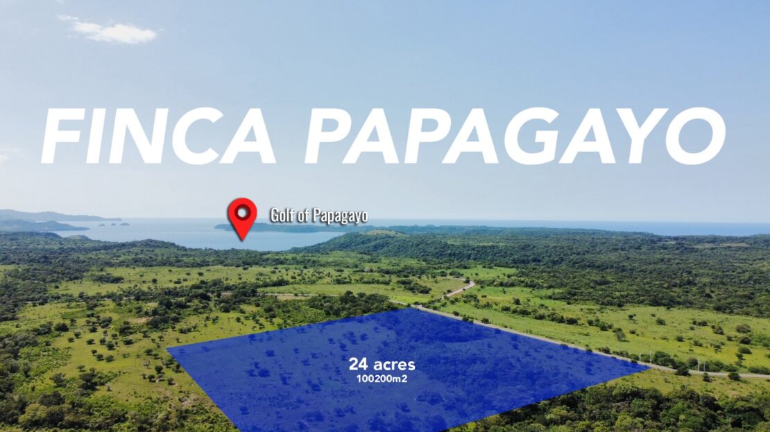 Papagayo