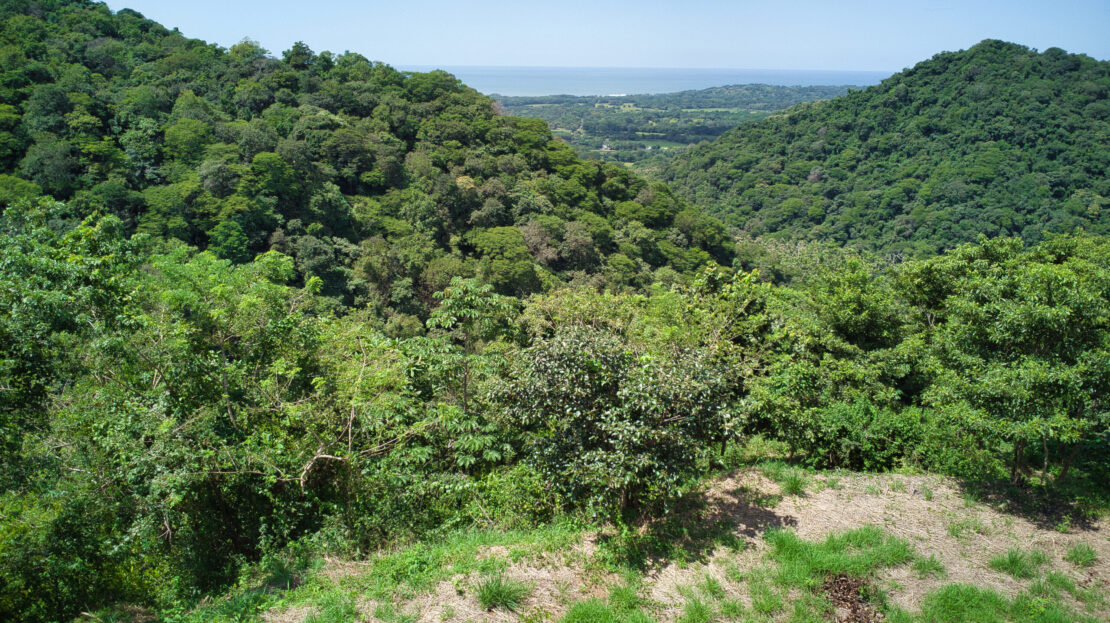 5 ha of Tropical Paradise with sea view Guanacaste | REMAX