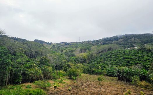San Ramon