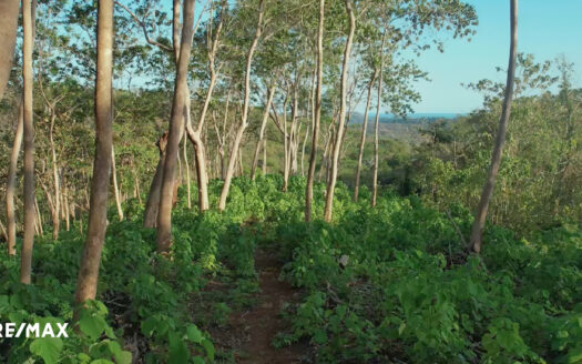 33 Acre Property for Development