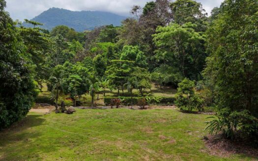 Private Riverside Garden of Eden with Mature Plants & Big Flat Building Area in Tres Rios Costa Rica