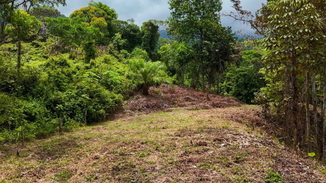 Costa Rica Real Estate