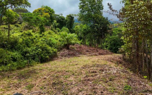 Private Creekside Land with Big Flat Building Area on 1.25 Acres in the Costa Azul community in Tres Rios Costa Rica