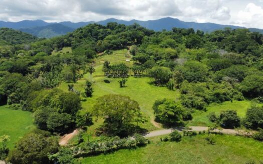 Beautiful 25 Acre Property in Playa Bejuco