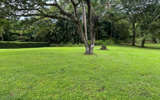 Beautiful Lot in Condos Loma Verde