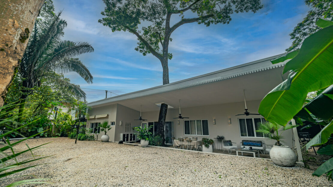 Casa Del Arbol