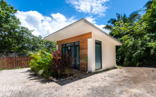 DOUBLE HOUSE BUENA VISTA