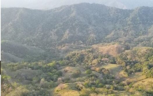 FINCA EL CARMEN 40 HA’s – Ocean View New Home Site within…