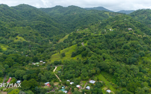 FINCA ESTRADA 3