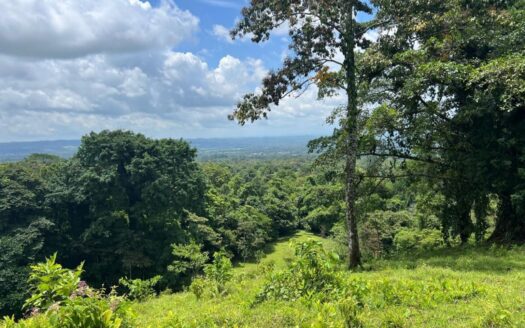 San Carlos -  La Fortuna