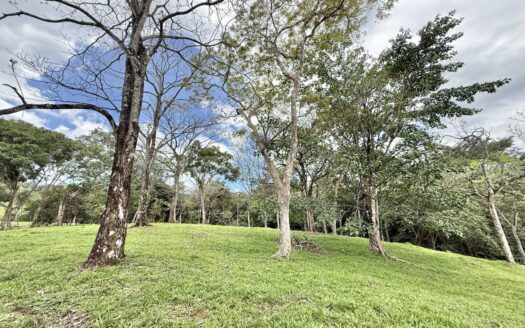 SPECTACULAR PROPERTY FOR SALE – EL RODEO DE MORA, 10,000 m²