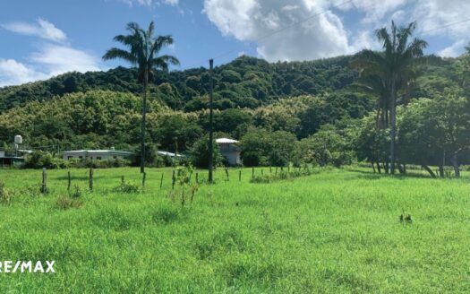 2 LOTS AT GREAT PRICE- RIO MONTANA