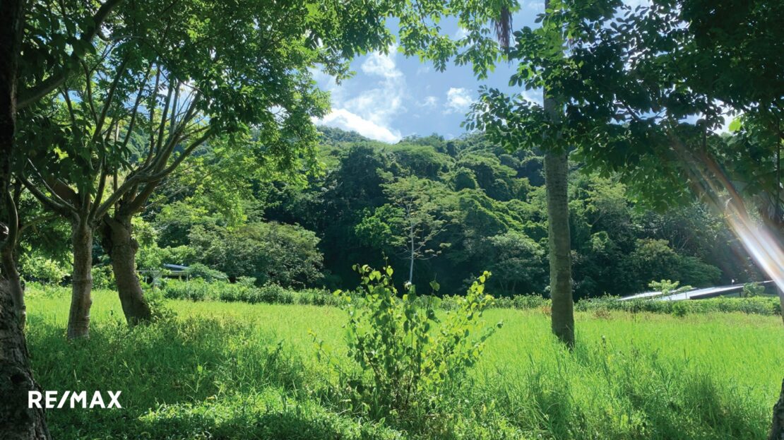LAND OF OPPORTUNITY- THE REAL PURA VIDA Guanacaste | REMAX