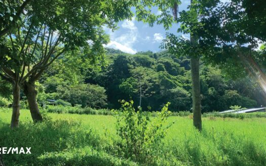 LAND OF OPPORTUNITY- THE REAL PURA VIDA Guanacaste | REMAX