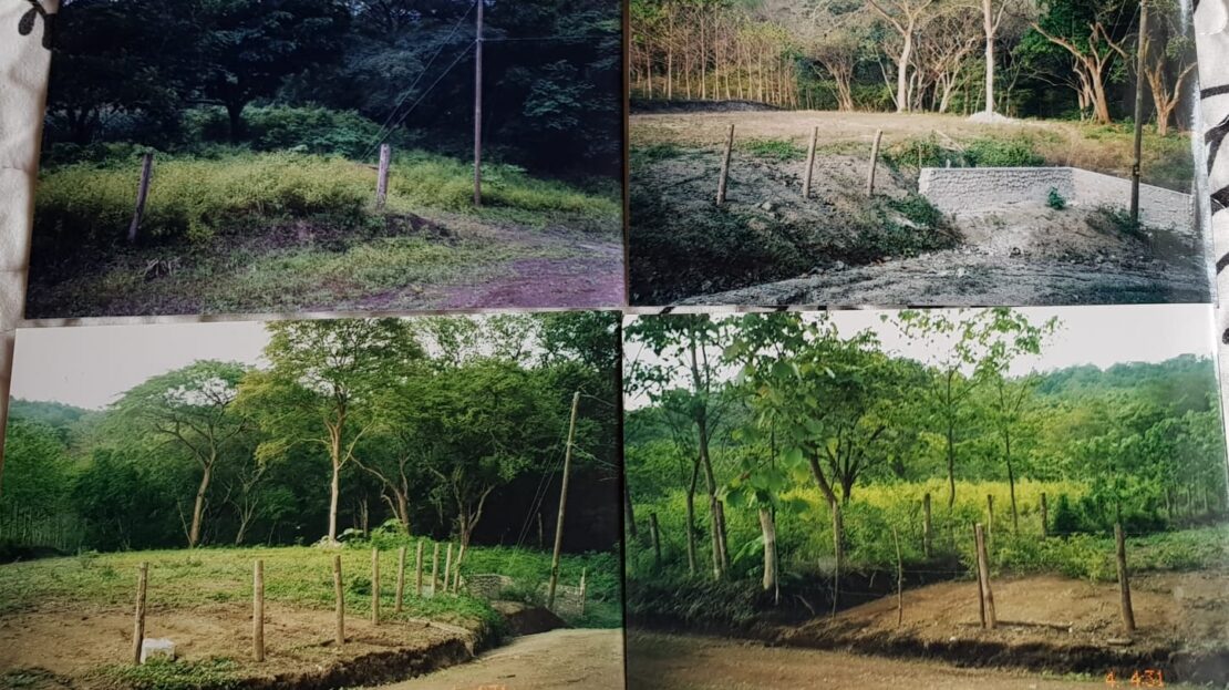 LOTE PARA DESARROLLO de vivienda Guanacaste | REMAX