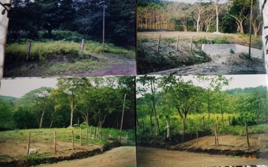 LOTE PARA DESARROLLO de vivienda Guanacaste | REMAX