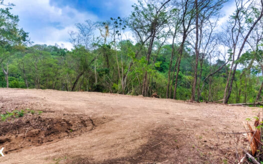LOTE TRES PLANTELES