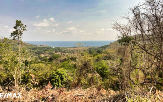 Lote Corozalito