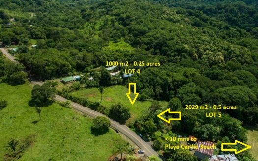 Lote Estrada 1K Guanacaste | REMAX