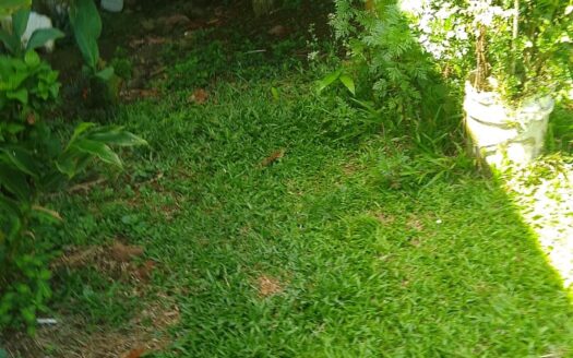 Magical 44 Hectare Estate with Domaine Magique